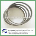 High temperature resistance die formed graphite ring, Graphite mold packing ring